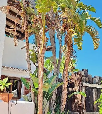 El Tipo Moraira